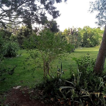 Li Papi Villa Galatone Buitenkant foto