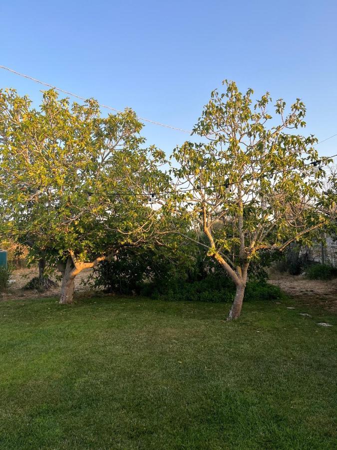 Li Papi Villa Galatone Buitenkant foto