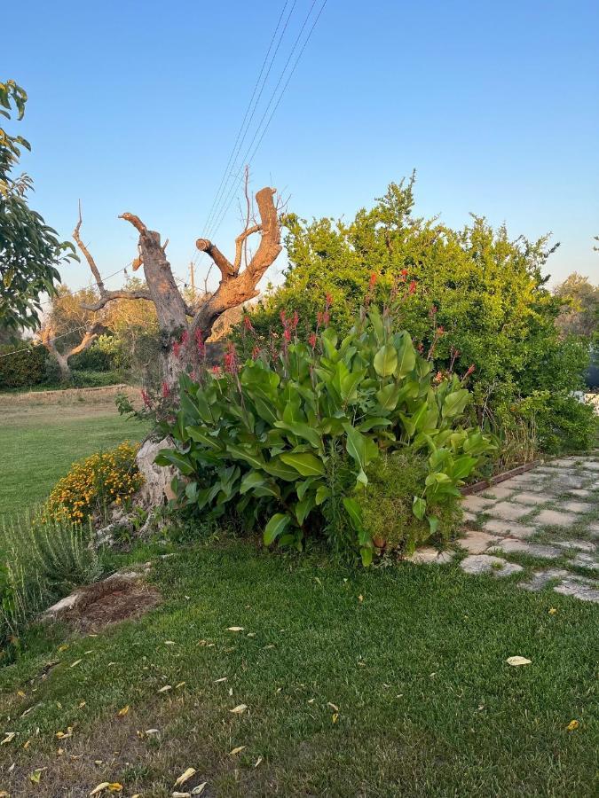 Li Papi Villa Galatone Buitenkant foto