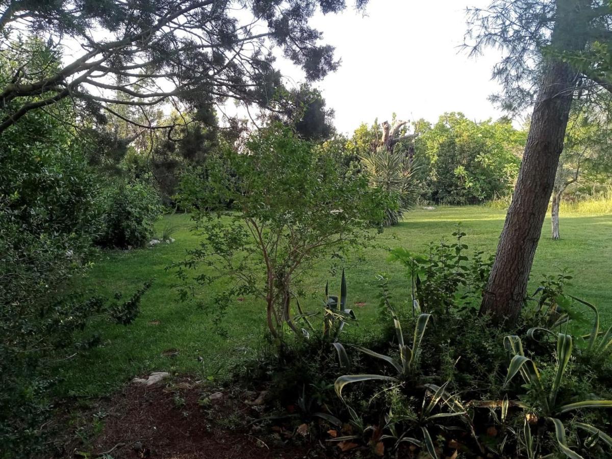 Li Papi Villa Galatone Buitenkant foto